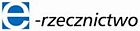 Elektroniczne rzecznictwo interesów społecznych w samorządzie